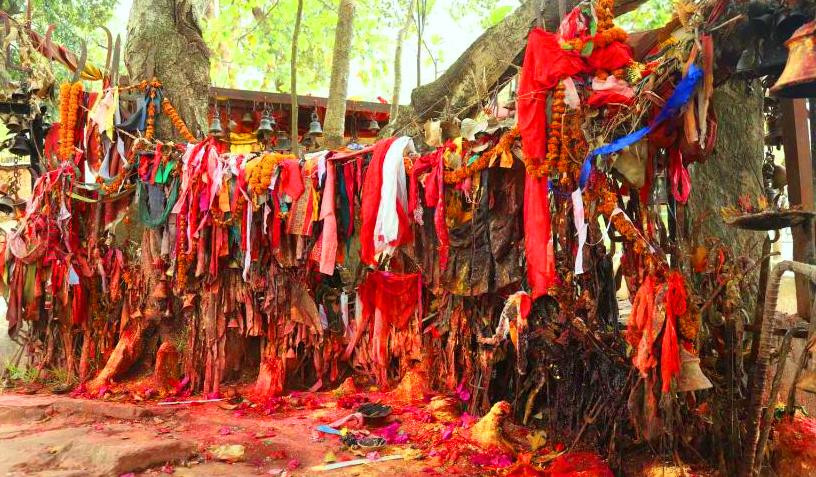 धुनिवेशी६को कालिदेवी मन्दिरमा चैत्र २३ गते चैते पुर्णिमा मेला लाग्ने: भिडियो सहित